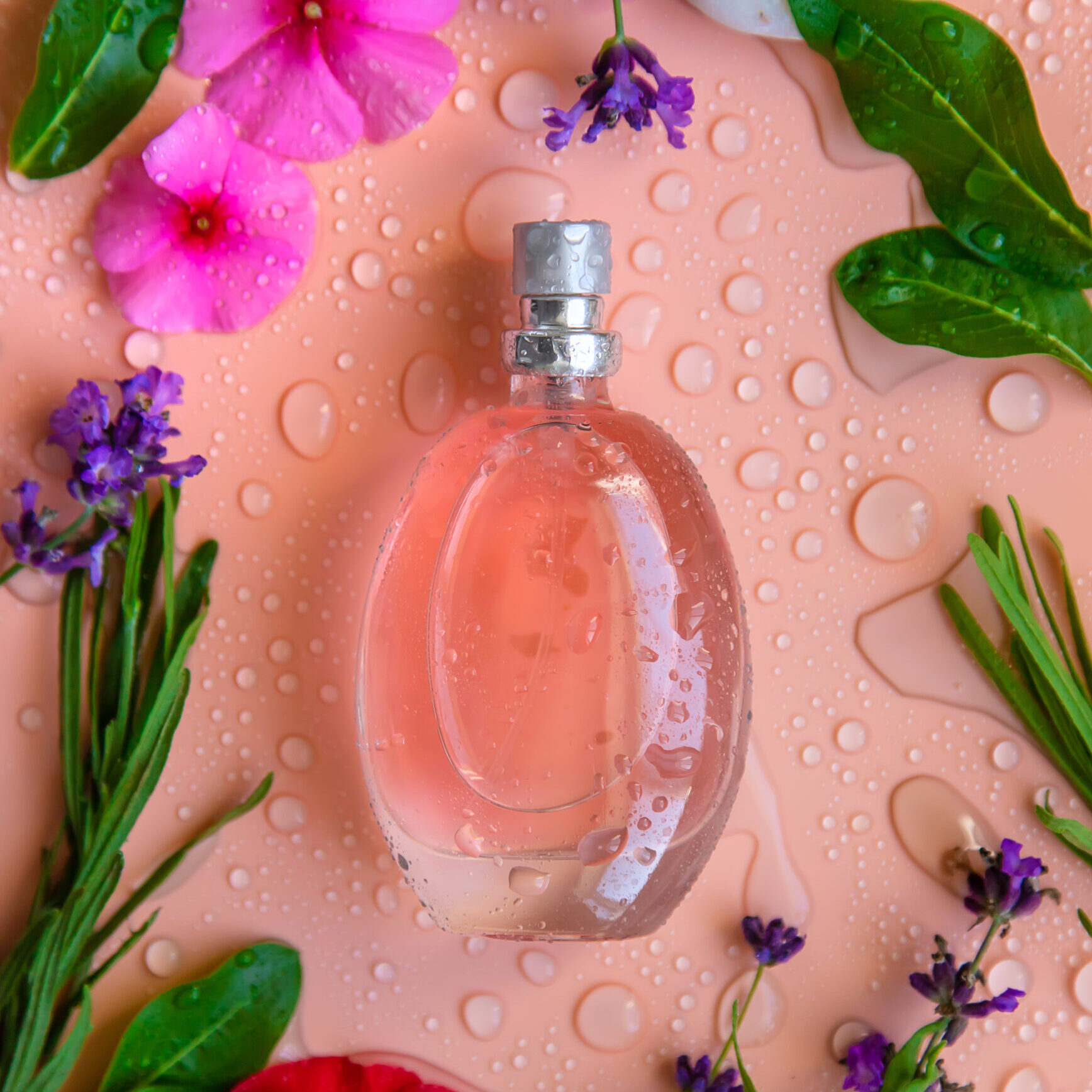 blush bloom – perfume blush bloom – perfume