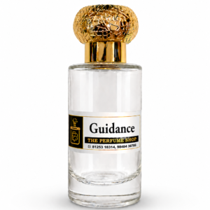 Guidance ( inspired by Amouage Guidance )